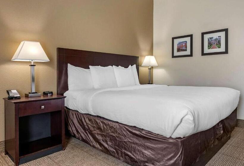 스탠다드 룸 킹사이즈 침대, Comfort Inn & Suites Deland  Near University