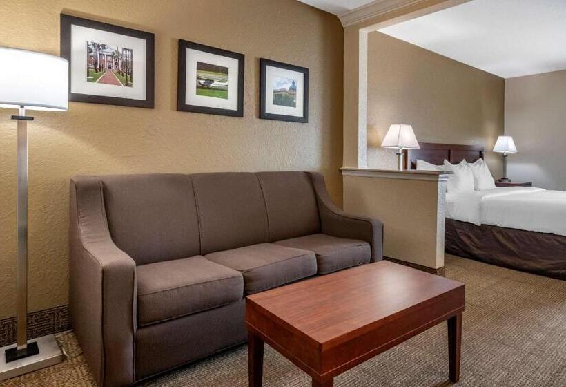 스위트 킹사이즈 침대, Comfort Inn & Suites Deland  Near University