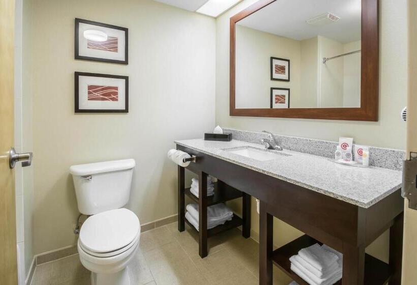 장애인을 위한 킹사이즈 침대 스탠다드 룸, Comfort Inn & Suites Deland  Near University