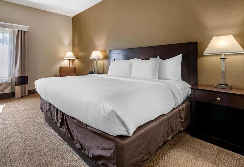 장애인을 위한 킹사이즈 침대 스탠다드 룸, Comfort Inn & Suites Deland  Near University