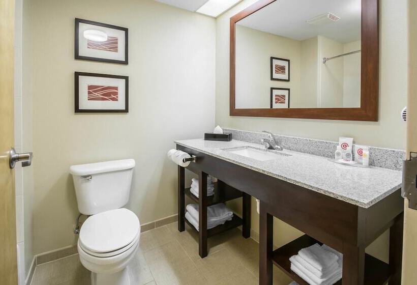 스위트, Comfort Inn & Suites Deland  Near University