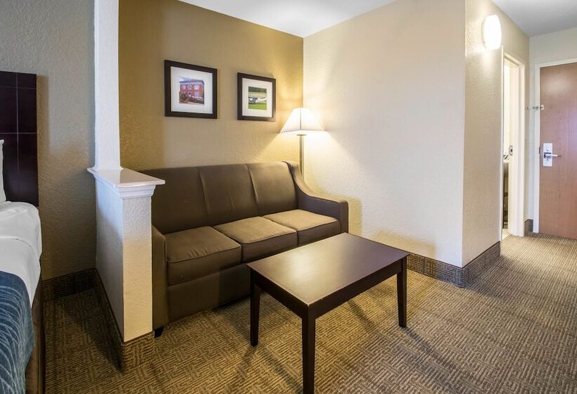 스위트, Comfort Inn & Suites Deland  Near University