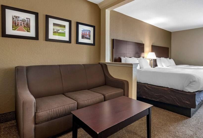 스위트, Comfort Inn & Suites Deland  Near University