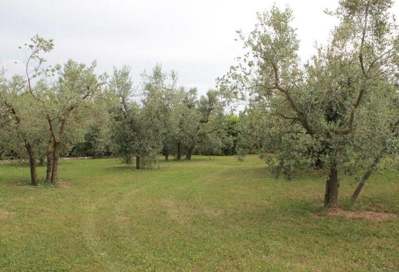 Номер Стандарт, Agriturismo Piano Grande