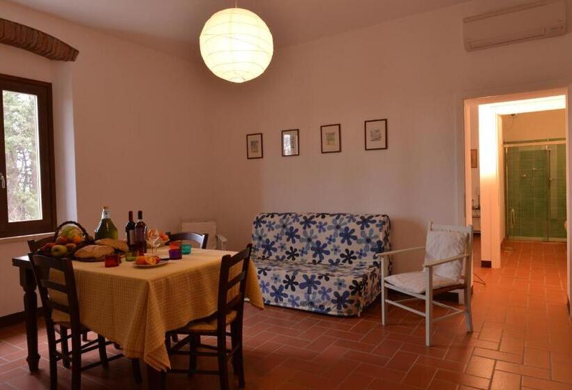 آپارتمان 1 خوابه, Poggio Agli Ulivi Agriturismo