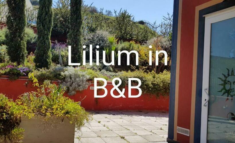 سوییت سوپریور, Lilium In B&b