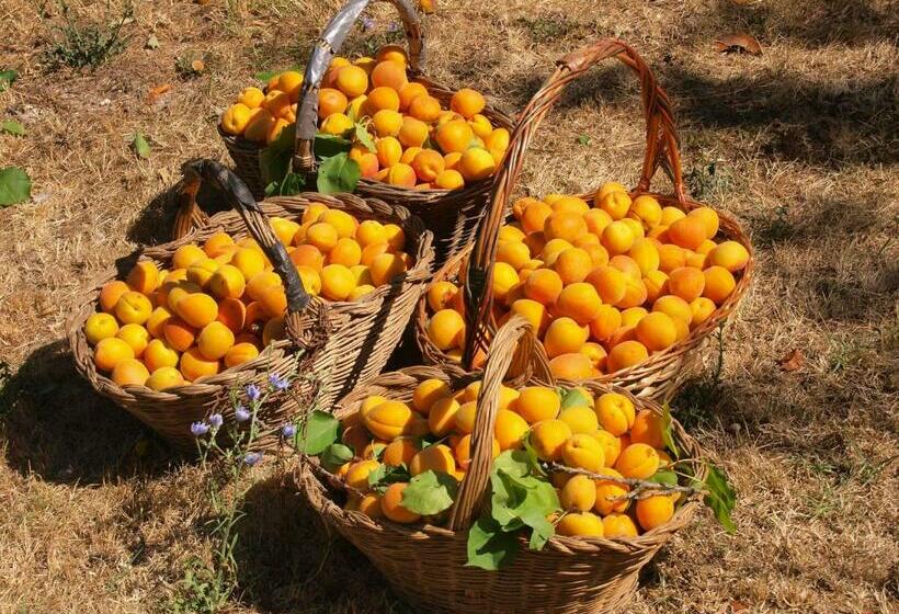 Апартаменты 2 Спальни, Agriturismo La Roverella