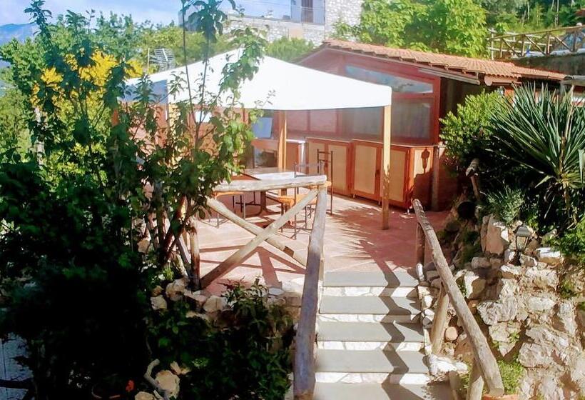 Номер Стандарт, Giardino 21 Marzo