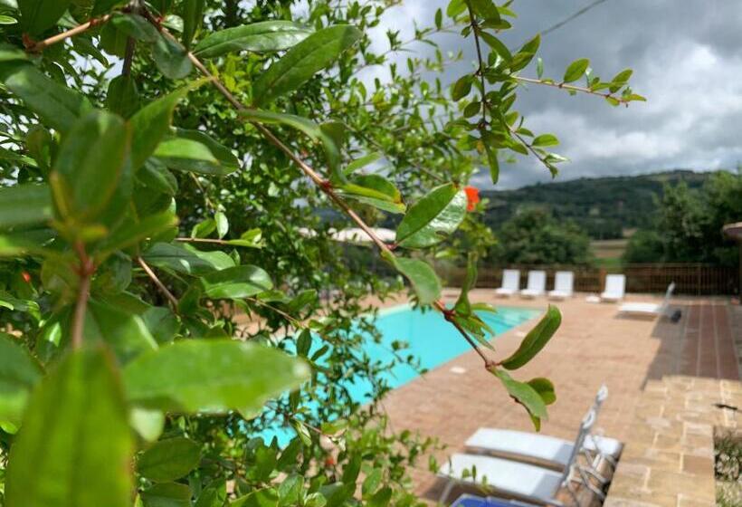 اتاق راحتی سه تخته, Agriturismo La Palazzetta Di Assisi