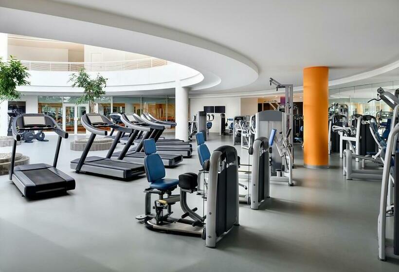 اتاق اجرایی, Mövenpick Hotel Beirut