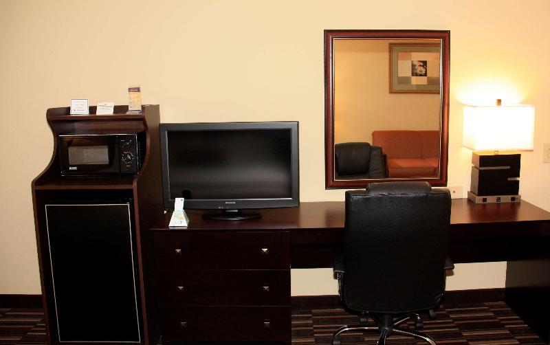 스탠다드 룸 킹사이즈 침대, Best Western Greenville Inn