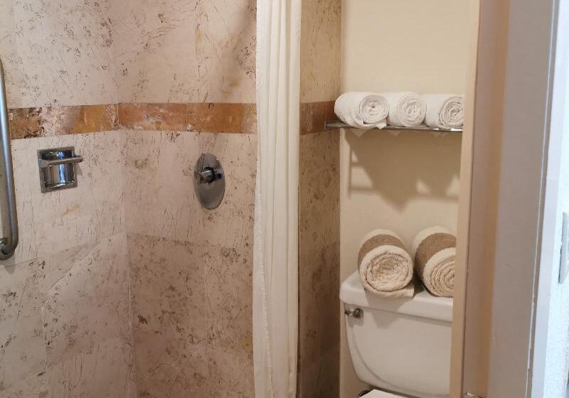 استودیوی استاندارد, Canto Del Sol Puerto Vallarta All Inclusive
