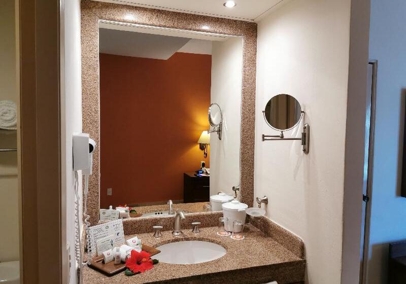 اتاق استاندارد, Canto Del Sol Puerto Vallarta All Inclusive