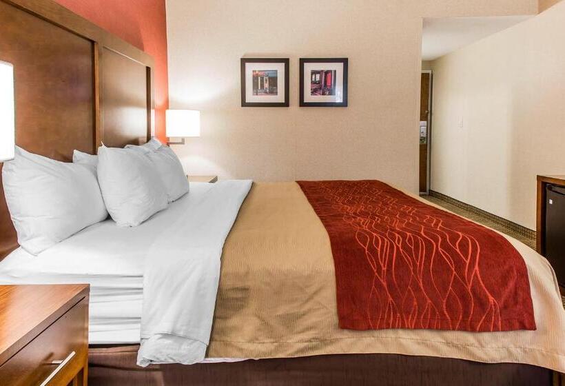 스탠다드 룸 킹사이즈 침대, Comfort Inn Boston