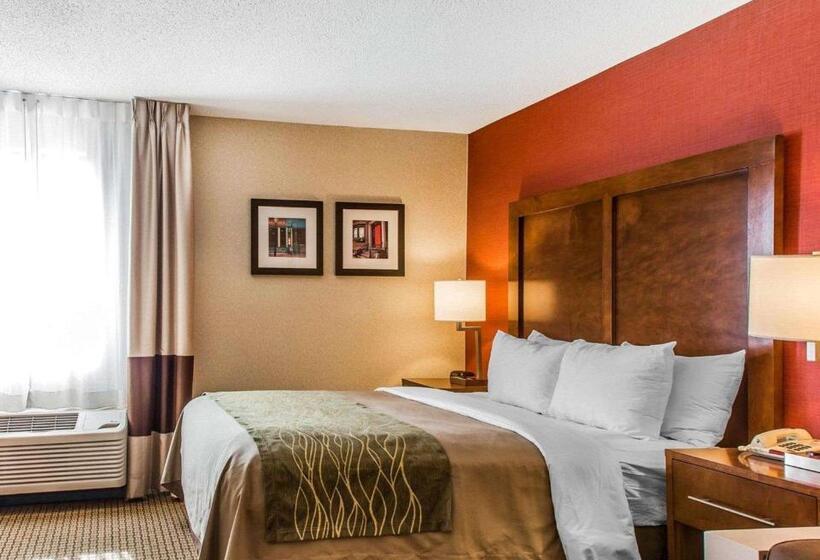 스탠다드 룸, Comfort Inn Boston