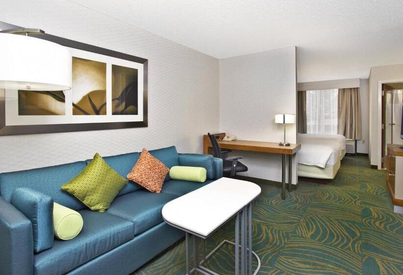 Standaard Studio, Springhill Suites By Marriott Chicago Elmhurst Oakbrook Area