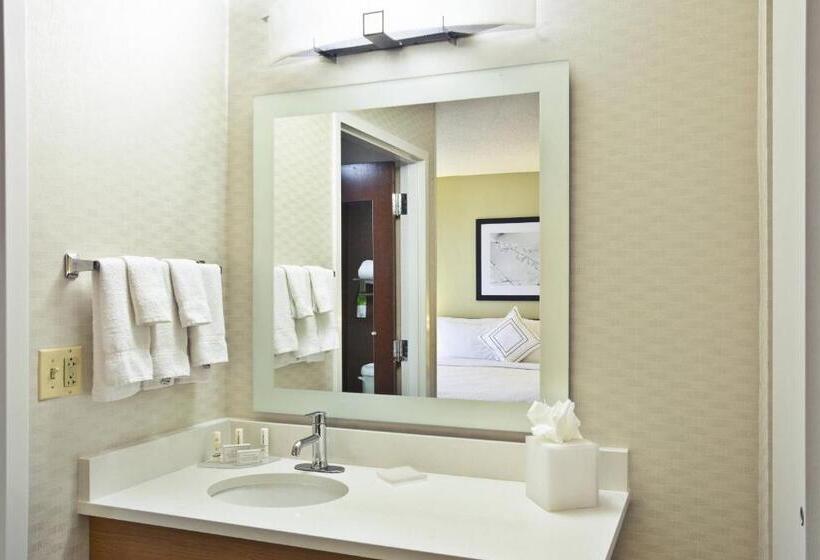 Standaard Studio met Kingsize Bed, Springhill Suites By Marriott Chicago Elmhurst Oakbrook Area