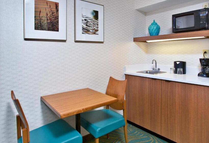 Executive Studio, Springhill Suites By Marriott Chicago Elmhurst Oakbrook Area