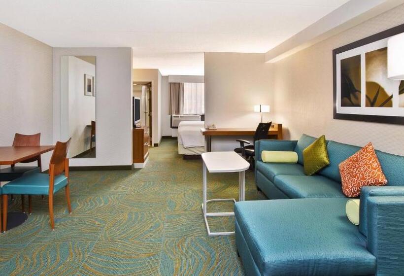 Executive Studio, Springhill Suites By Marriott Chicago Elmhurst Oakbrook Area