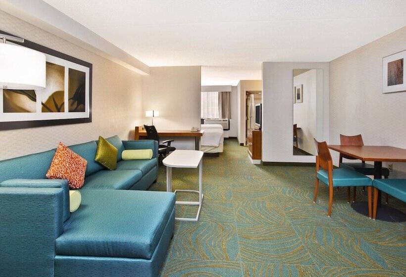 Executive Studio, Springhill Suites By Marriott Chicago Elmhurst Oakbrook Area