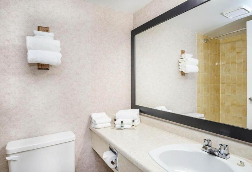 带2个双人床的标准工作室, Sandman Hotel Castlegar