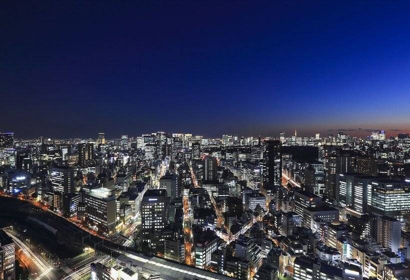 Номер Стандарт, Tokyo Dome