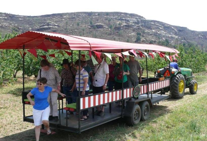 Апартаменты 3 Спальни, Rooiberg View Clarens