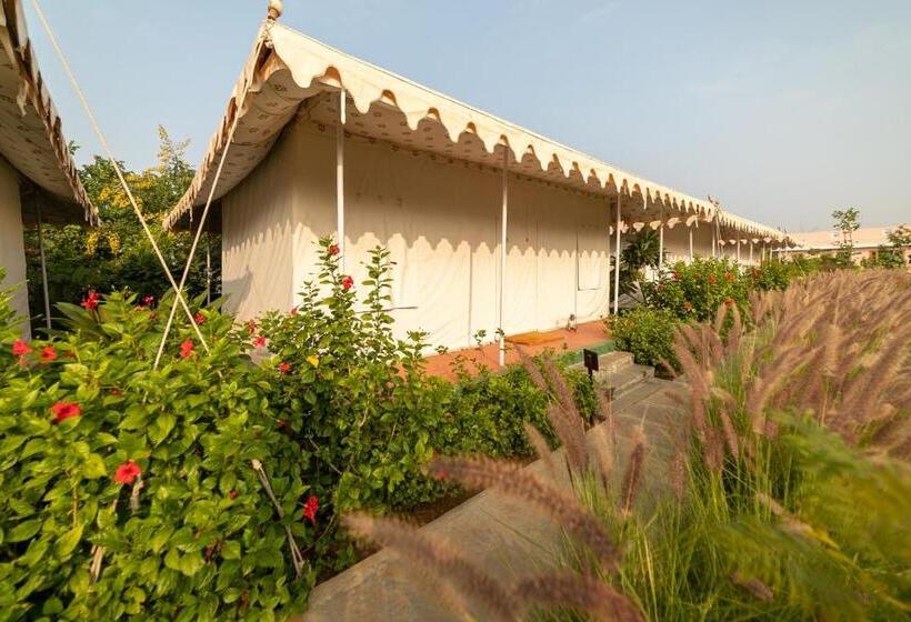 Standard Tent, Madho Bagh