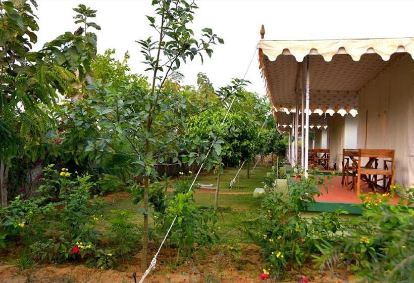 Standard Tent, Madho Bagh