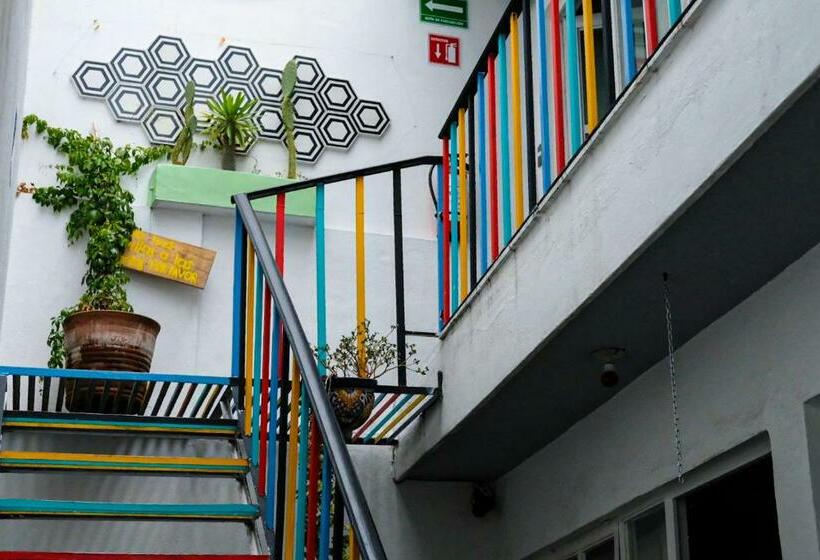 اتاق استاندارد با سرویس بهداشتی مشترک, Monkey Safari Hostel