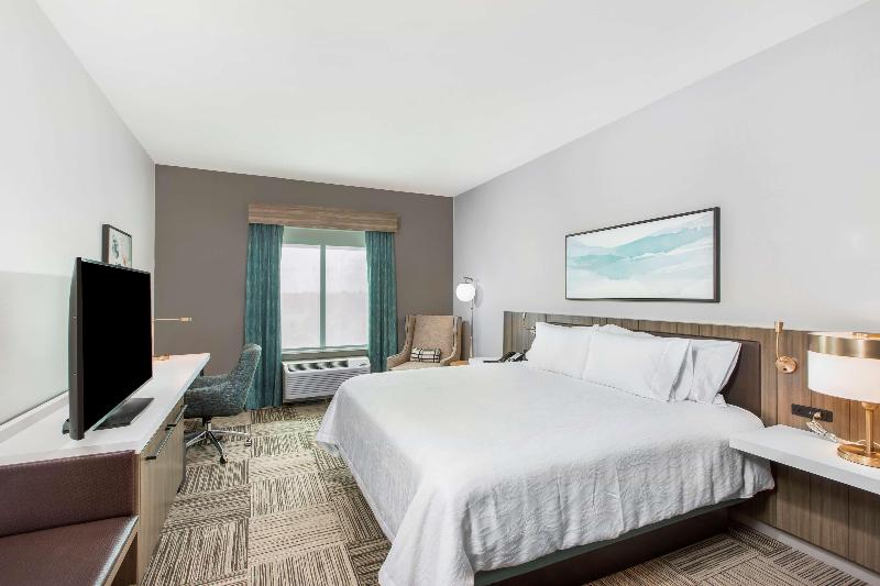 장애인을 위한 스탠다드 룸, Hilton Garden Inn Harlingen Convention Center