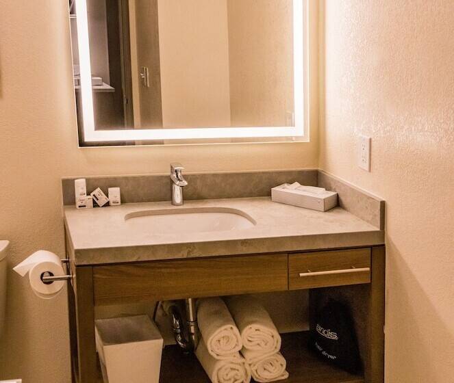 سوئیت برای معلولان, Candlewood Suites Richmond South, An Ihg