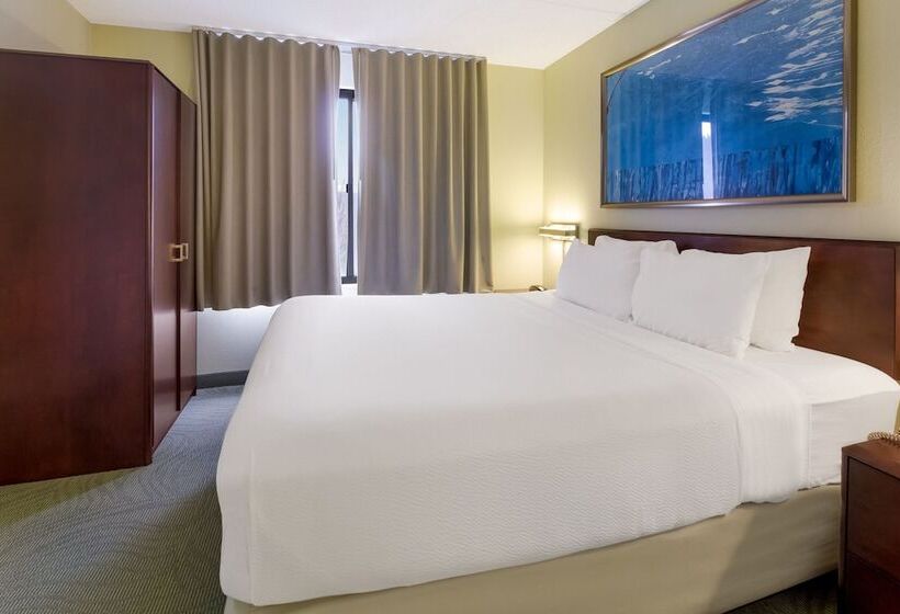 스탠다드 스튜디오, Springhill Suites By Marriott Pittsburgh Washington