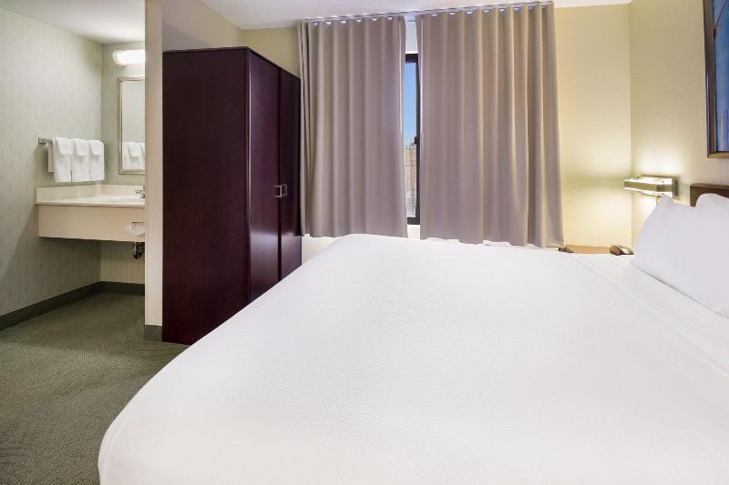 스탠다드 스튜디오 킹침대, Springhill Suites By Marriott Pittsburgh Washington