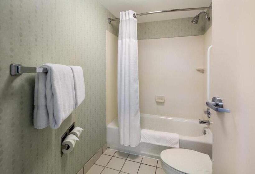 스탠다드 스튜디오, Springhill Suites By Marriott Pittsburgh Washington