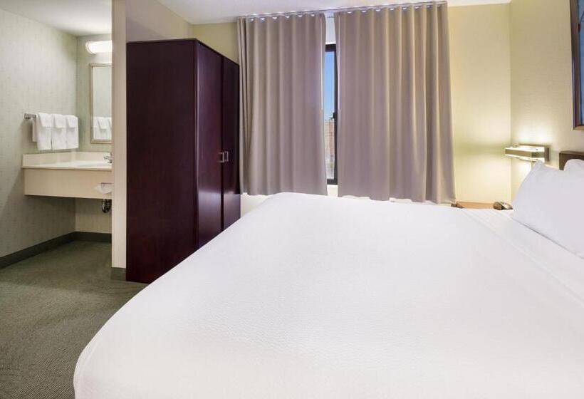 스탠다드 스튜디오 킹침대, Springhill Suites By Marriott Pittsburgh Washington