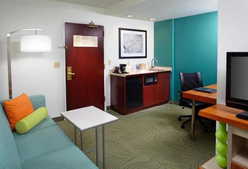 스탠다드 스튜디오 킹침대, Springhill Suites By Marriott Pittsburgh Washington