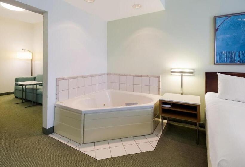 스위트 킹사이즈 침대, Springhill Suites By Marriott Pittsburgh Washington