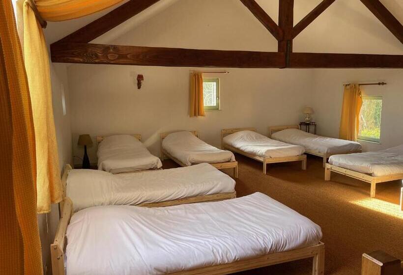 Номер Дюплекс, Du Côté De Chez Sam