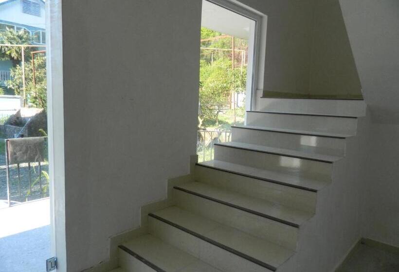 اتاق استاندارد, Neli