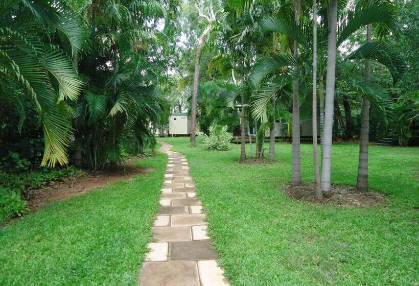 Номер Стандарт, Pandanus On Litchfield