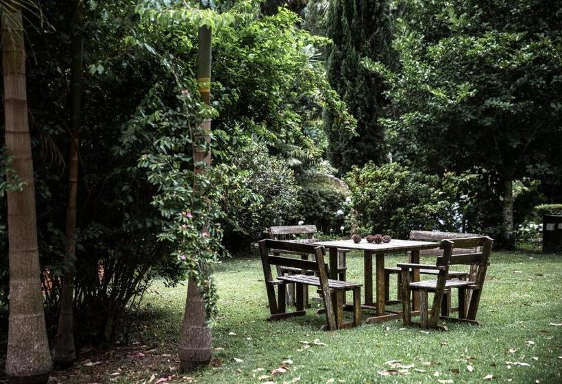 패밀리 스위트, Tall Trees Motel Mountain Retreat