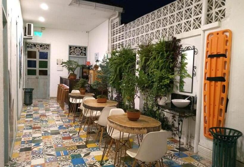 إستوديو ديلوكس, Moonshine Boutique Hostal