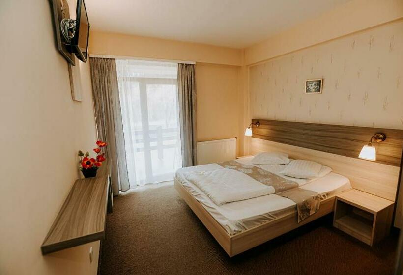 اتاق استاندارد با چشم‌انداز دریاچه, Guest House Lacul Linistit
