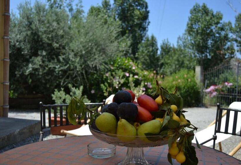 Студия Стандарт, Bioagriturismo Antica Sena