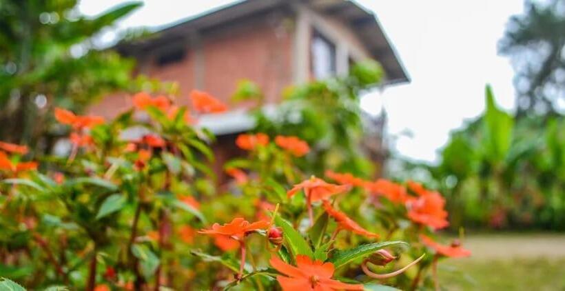 스탠다드 룸, Hostal Ariantiy
