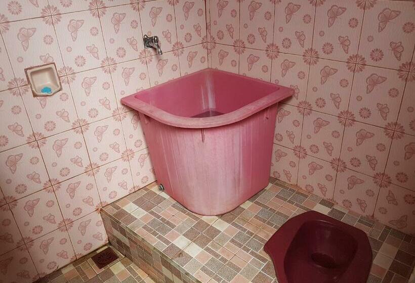 Номер Deluxe, Radiya Guesthouse