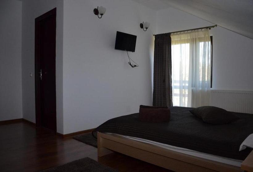 Номер Стандарт, Pensiunea Casa Runcu Buzau