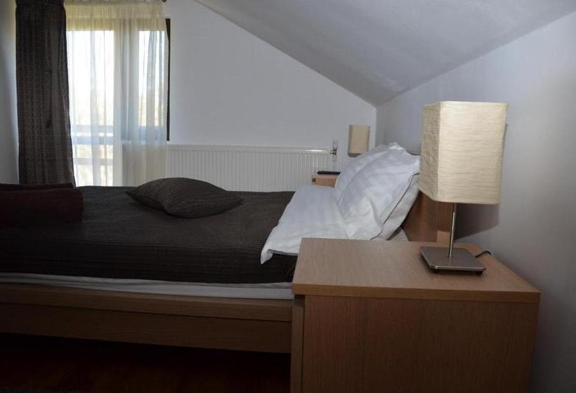 Номер Стандарт, Pensiunea Casa Runcu Buzau