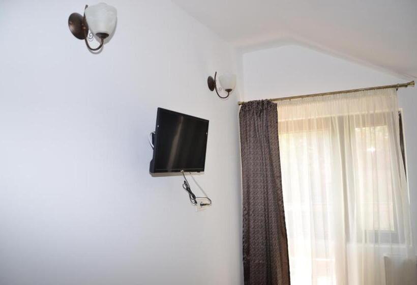 Номер Стандарт, Pensiunea Casa Runcu Buzau